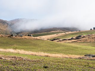 Social video: Bioregional Weaving Labs